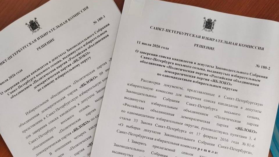Фото: петербургское «Яблоко»