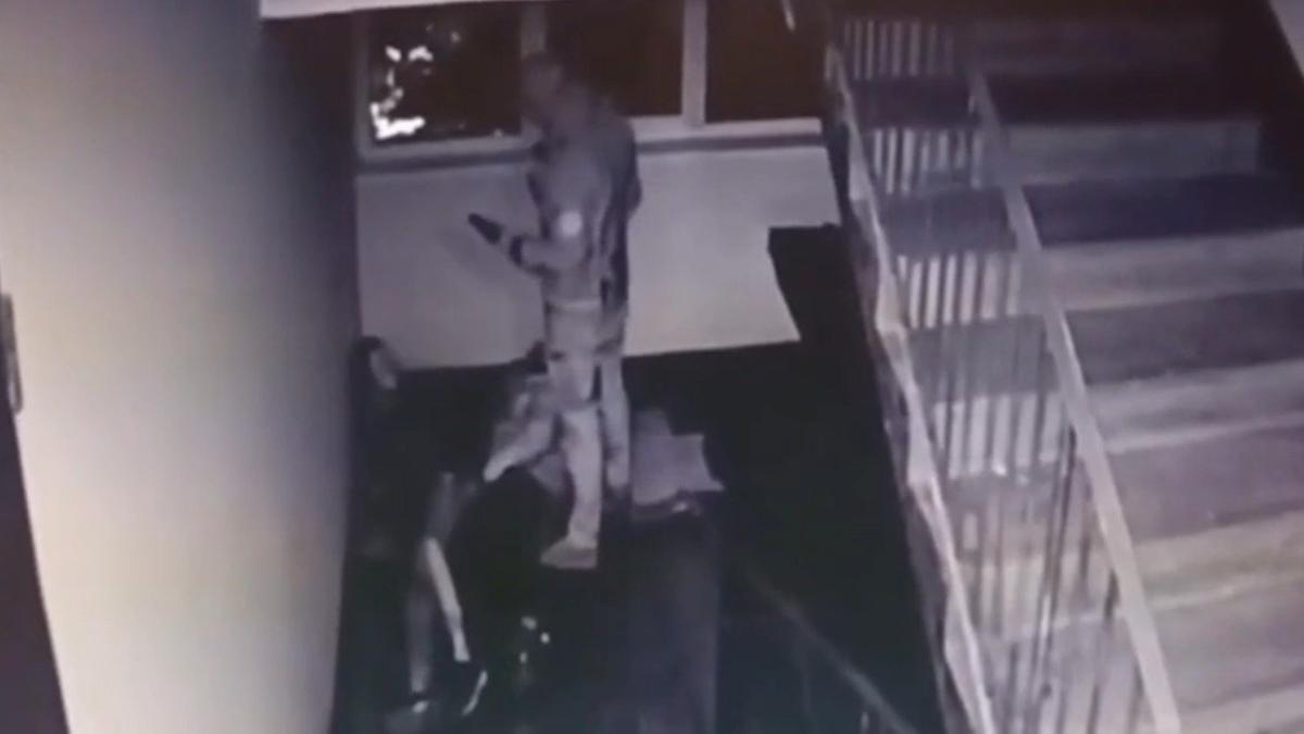 Скриншот видео: ГУ МВД по Петербургу и Ленобласти
