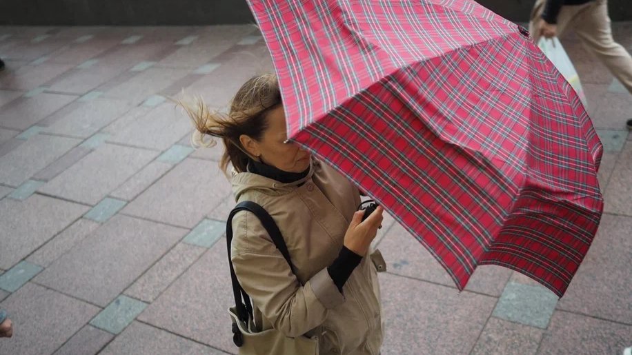 Фото: Дмитрий Абрамов / MR7