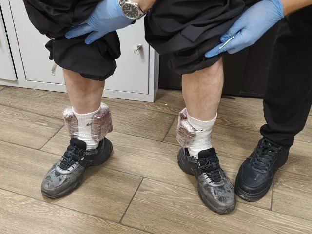 Фото: УТ МВД России по СЗФО