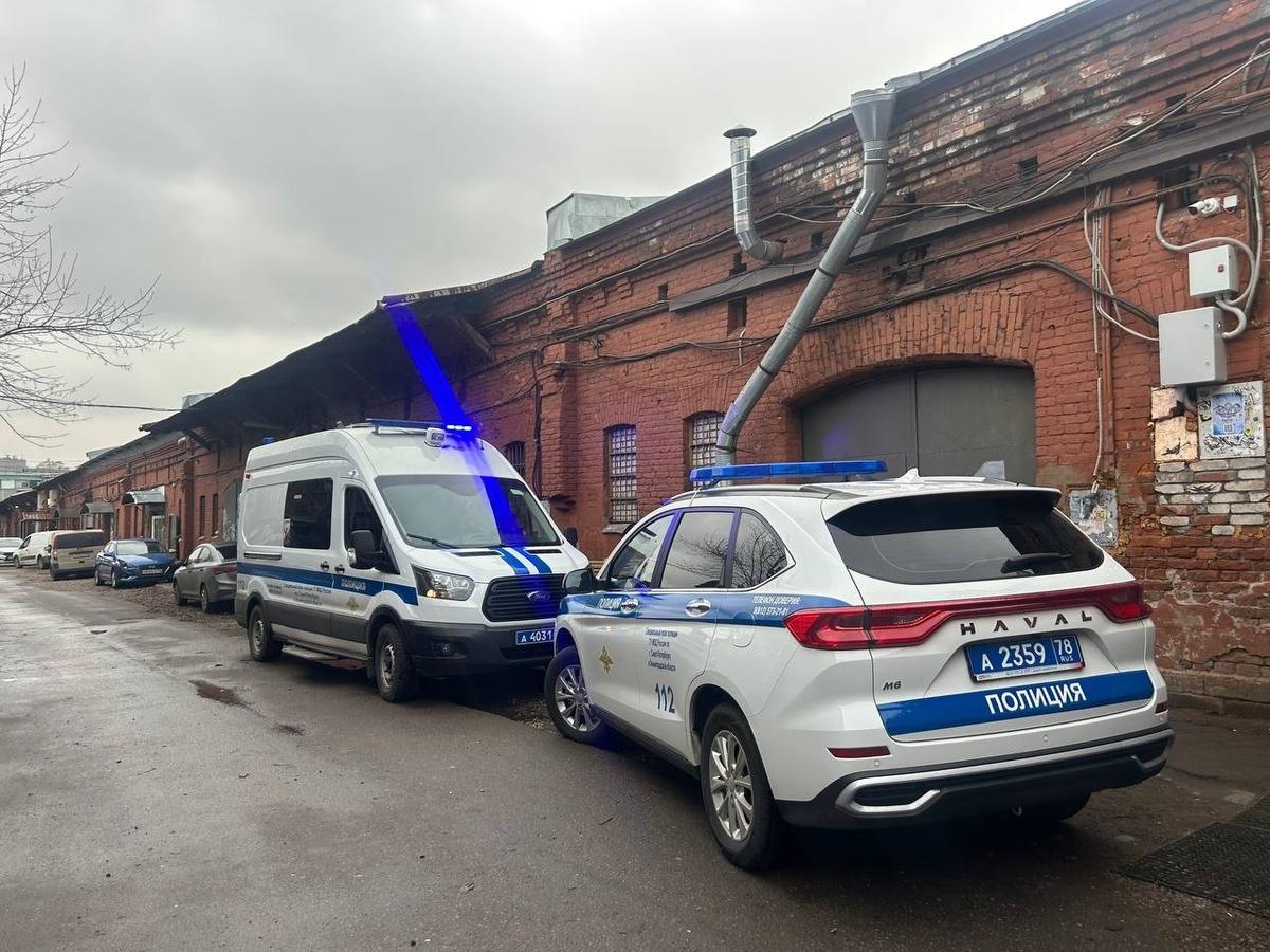 Фото: Дарья Дмитриева / MR7