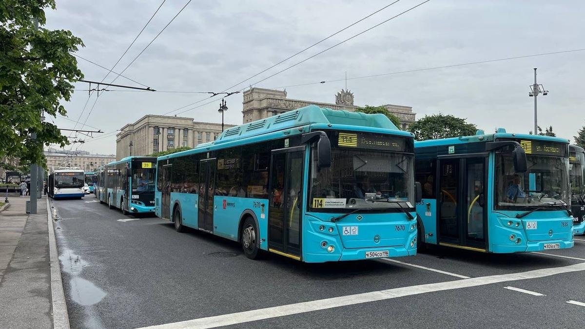 Фото: Павел Борисенко / MR7