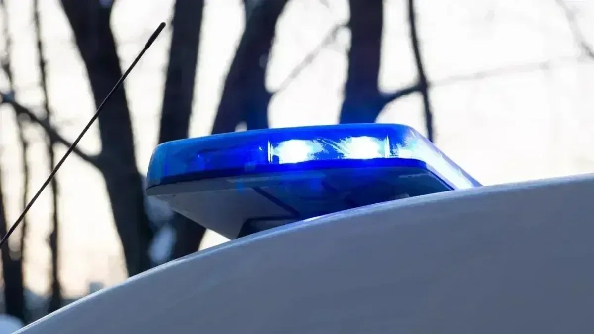 Фото: Олег Золото / MR7