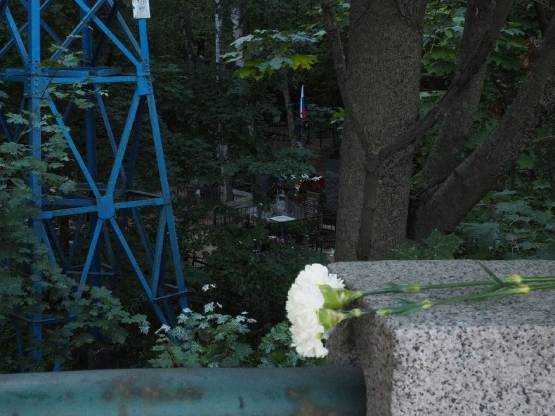 Кто-то оставил цветы напротив могилы. Фото: Дмитрий Абрамов / MR7