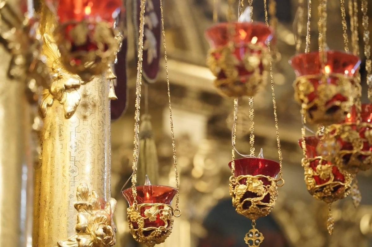 Фото: Павел Борисенко / МР7