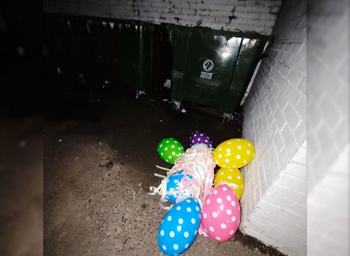Фото: «Приморский район Спб»