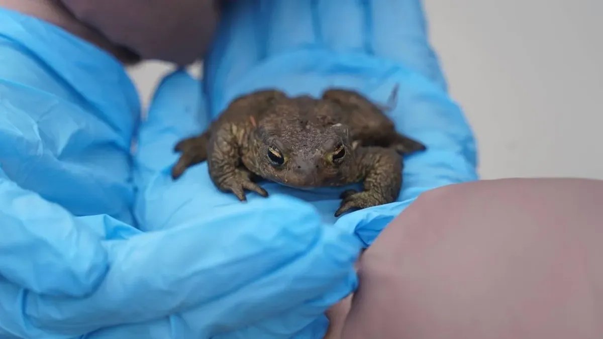 Фото: Павел Борисенко / MR7