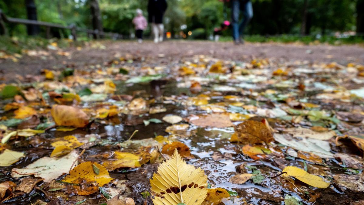 «Дуй на неё»: как поссорились петербурженка и сотрудница ЖКХ