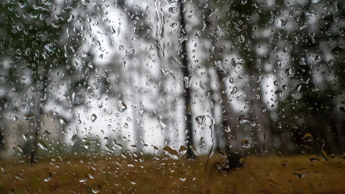 Фото: Олег Золото / MR7