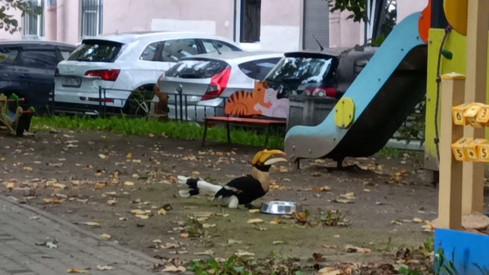 Фото: пресс-служба Ленинградского зоопарка