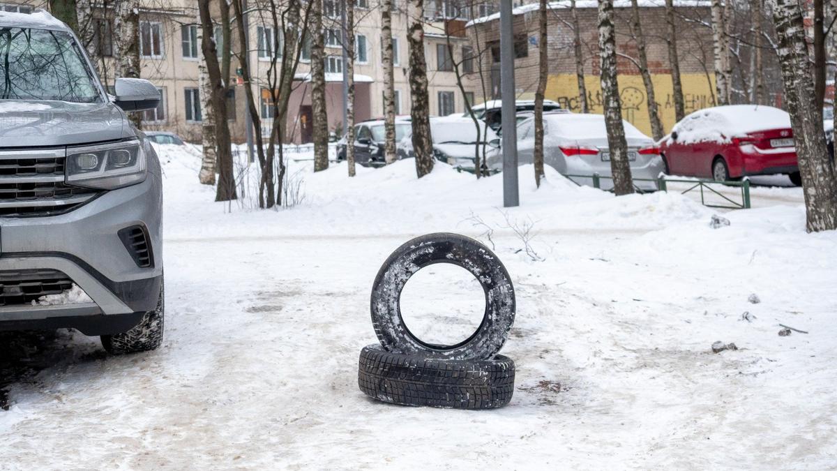 Фото: Олег Золото / МР7