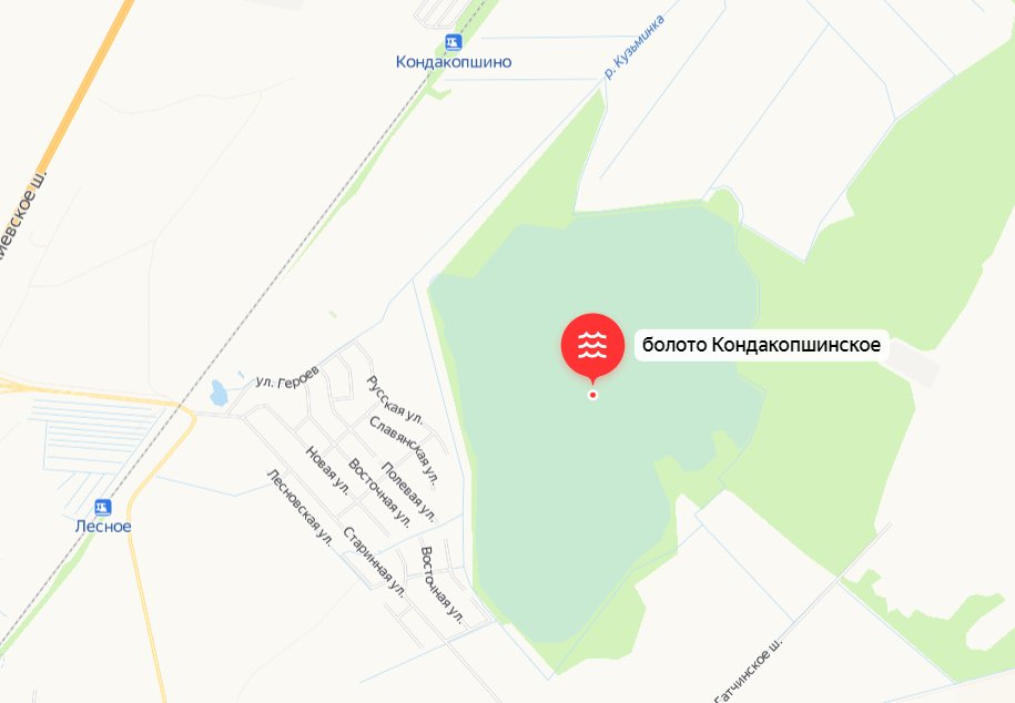 Кондакопшинское болото на карте. Рядом — населённый пункт Кондакопшино.