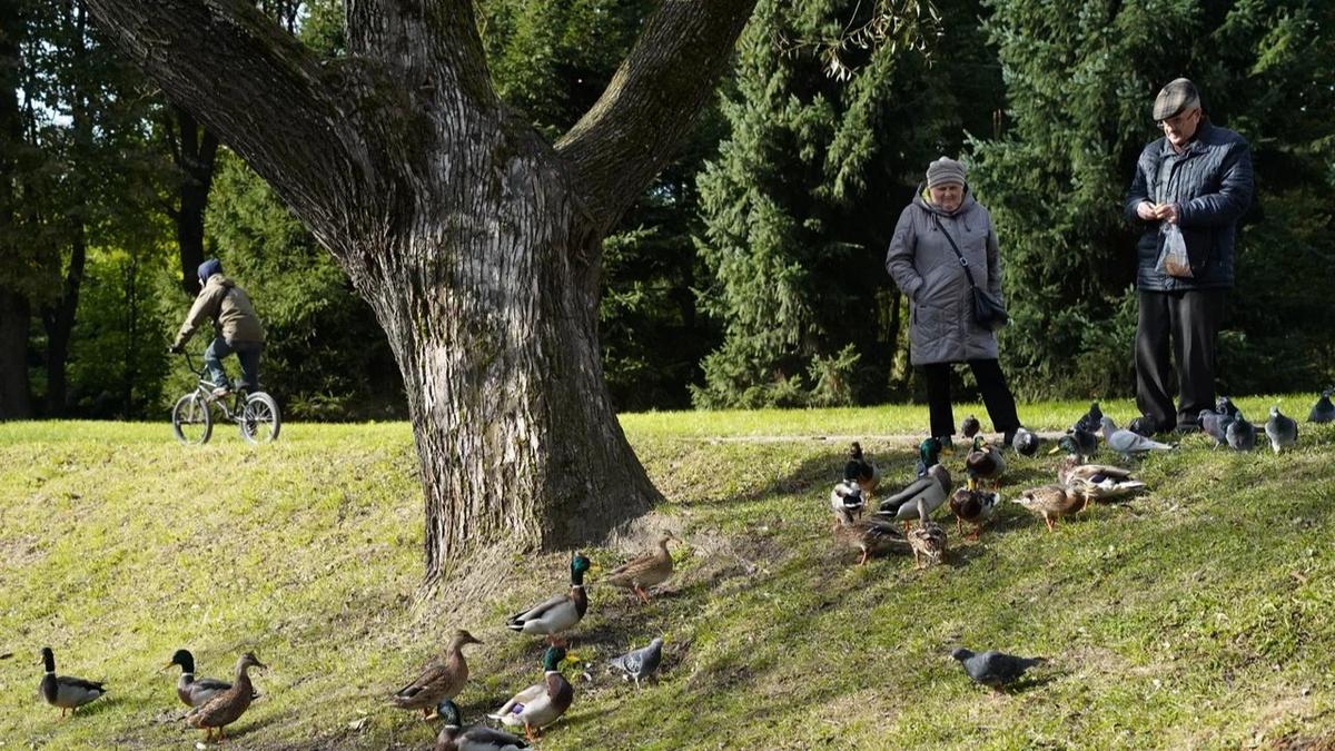 Фото: Павел Борисенко / MR7