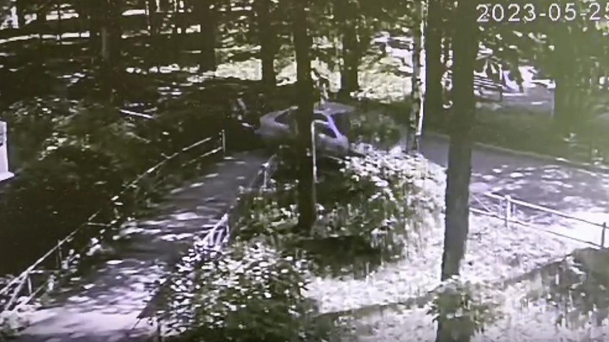 Скриншот: видео объединённой пресс-службы судов Петербурга