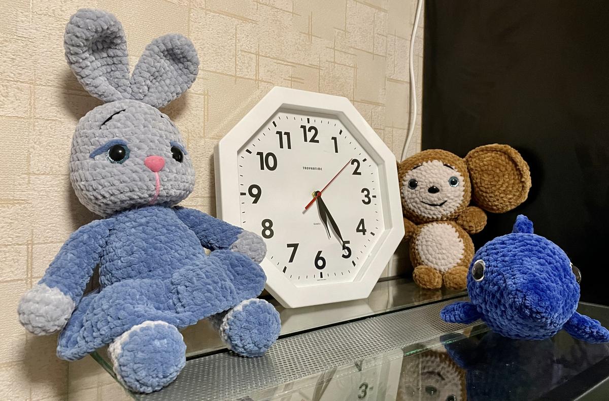 Этих домашних обитателей, которых связала Анастасия, женщина решила оставить себе. Фото: Дарья Дмитриева / MR7