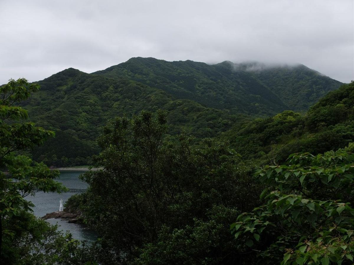 Навигационный знак в Японии. Фото: Ирина Босенко