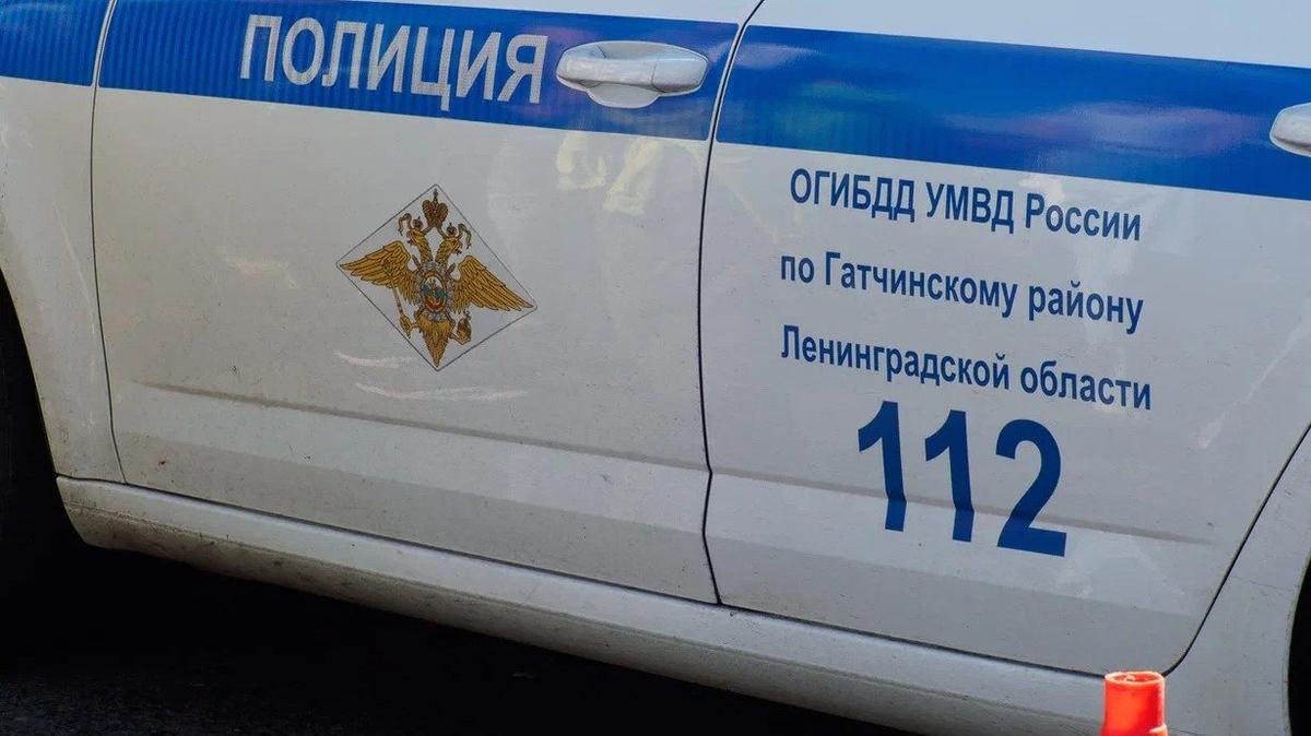 В Парголово задержали азербайджанского бизнесмена