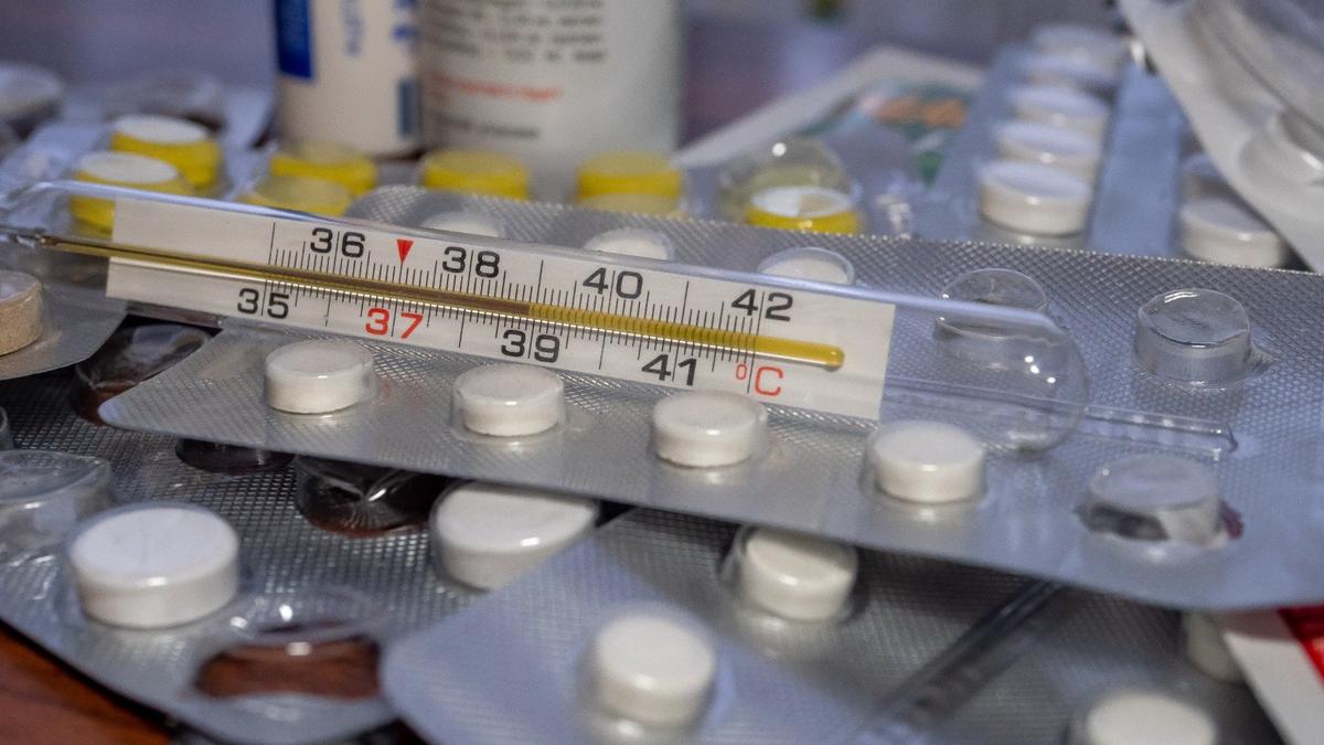 Фото: Олег Золото / MR7