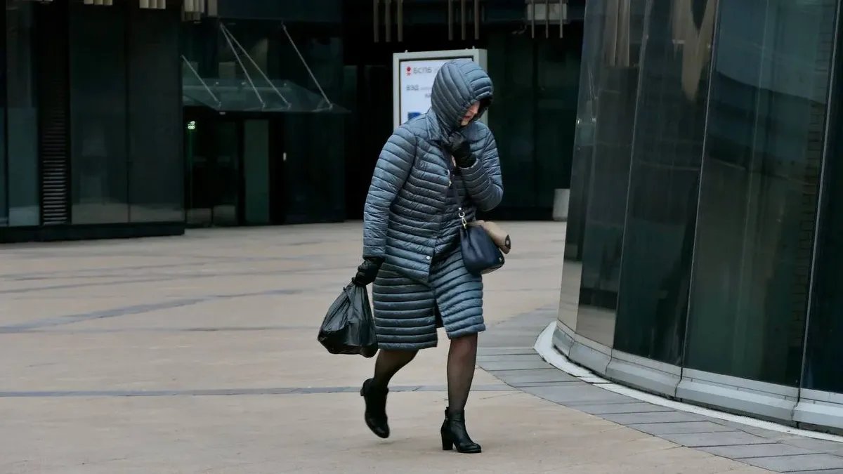 Фото: Павел Даиси / МР7