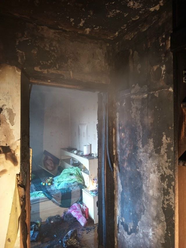 Фото: «Транспортный коллапс, Красное Село»