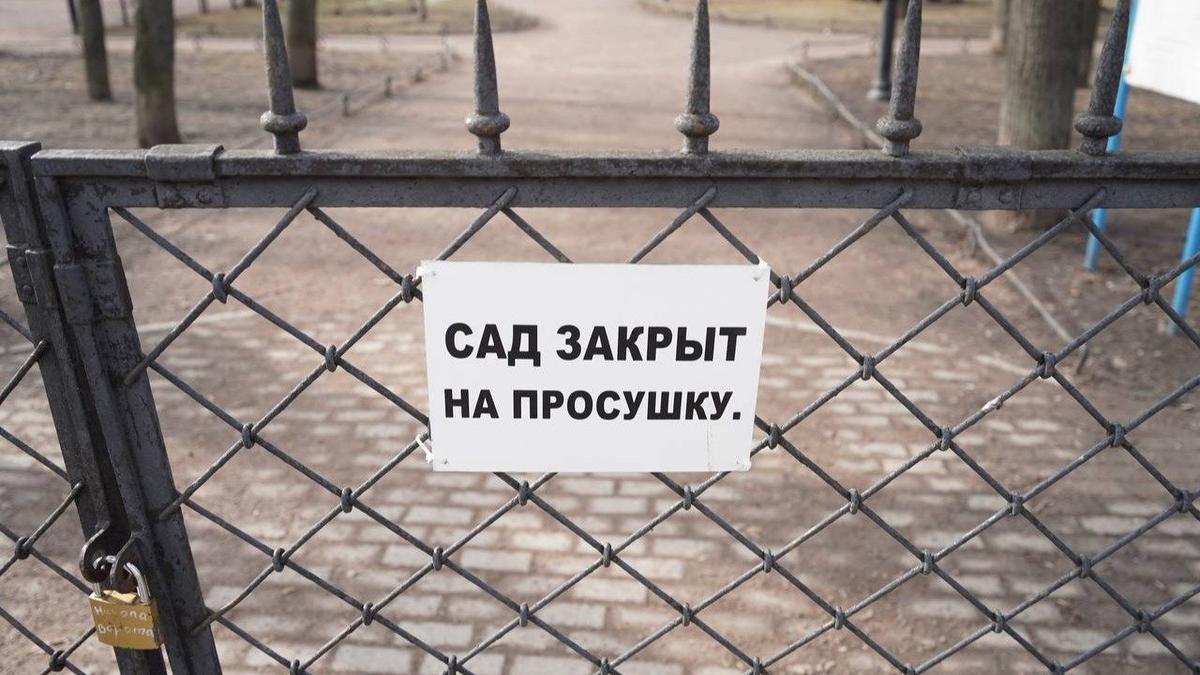 Фото: Павел Борисенко / MР7