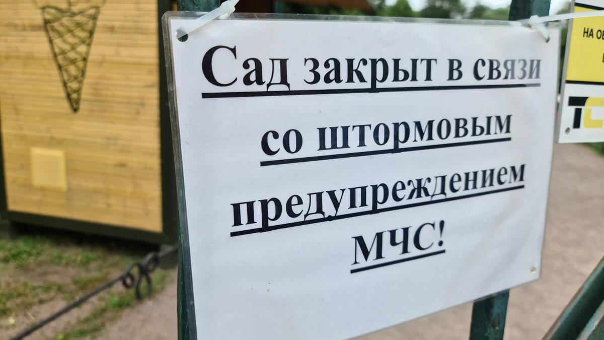 Фото: Олег Золото / МР7