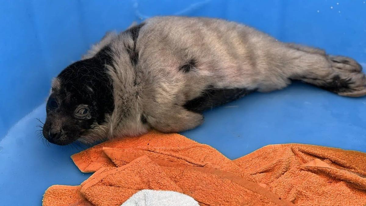 Фото: Водоканал Петербурга