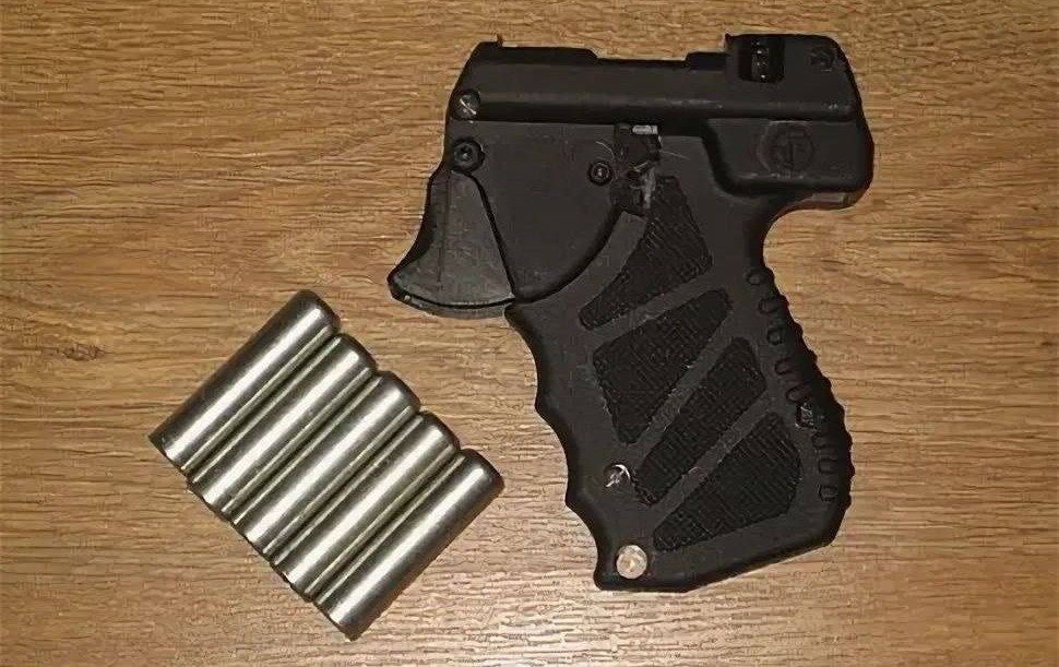 Фото: пресс-служба СЗТП