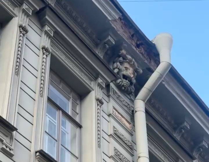 Фото: прокуратура Петербурга