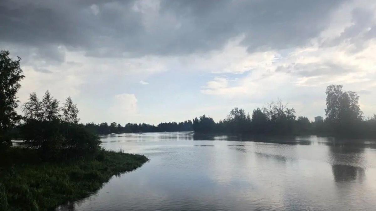 Фото: СК России по Петербургу