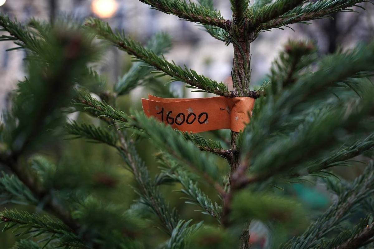 Фото: Павел Борисенко / MR7