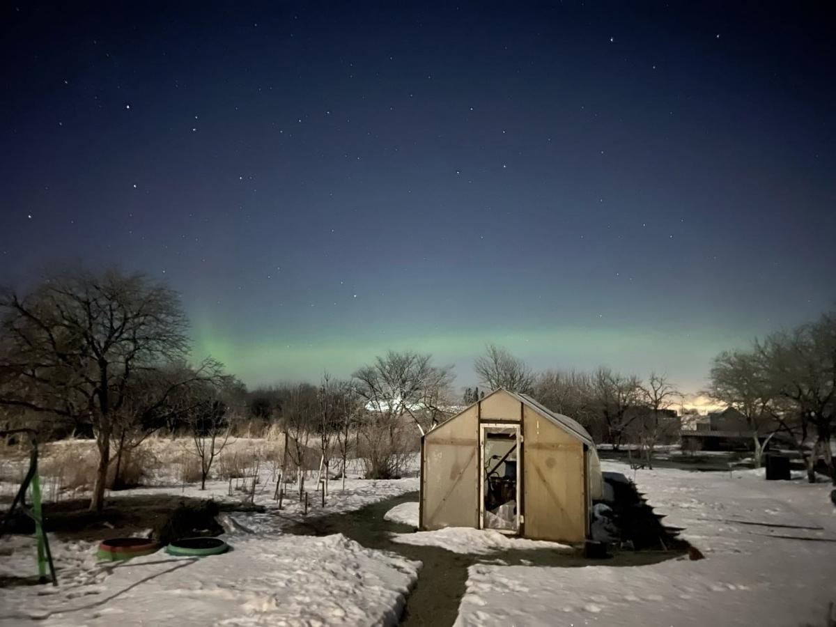 Северное сияние в Ленобласти. Фото: Денис Фошин / «Астро Фото Болото»