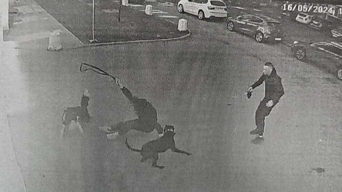 Фото: объединенная пресс-служба судов Петербурга