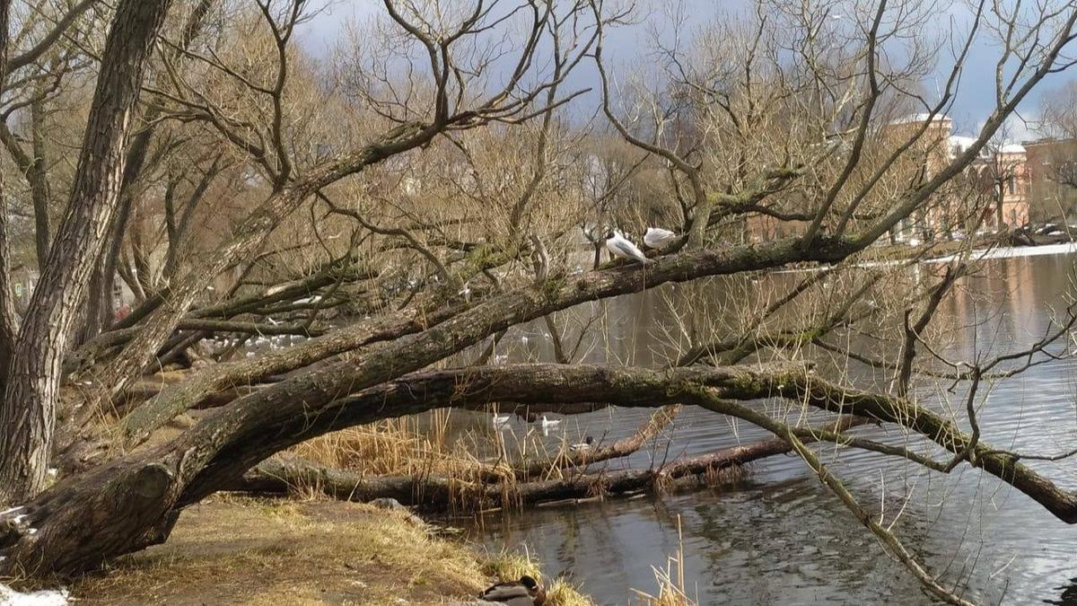 Фото: Михаил Барышников