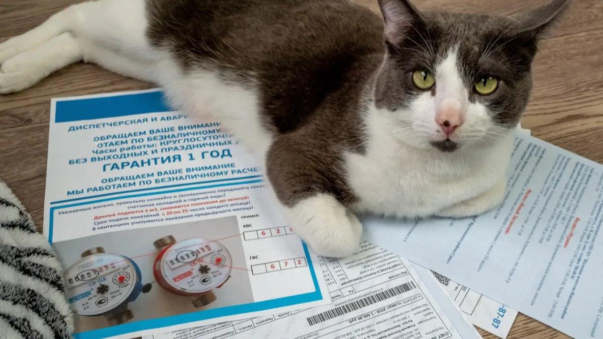 Единые квитанции за ЖКУ первыми начнут получать жители Калининского района