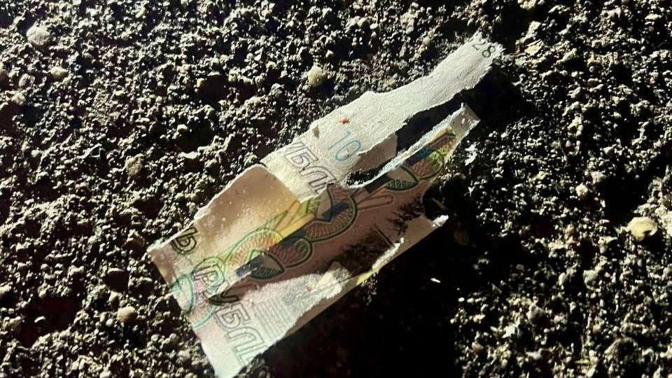 Фото: ГСУ СК России по Московской области