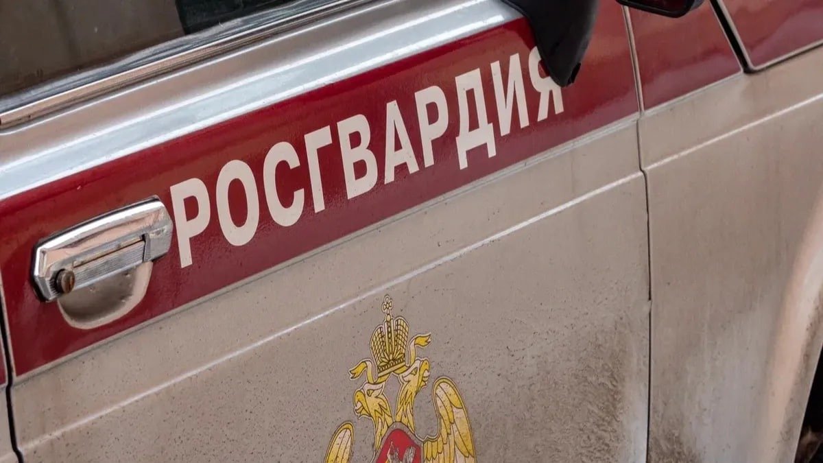 Фото: Олег Золото / МР7