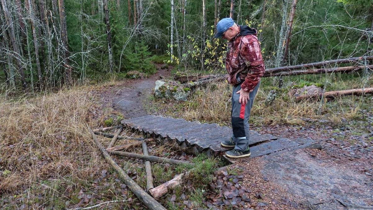 Фото: Музей-заповедник «Парк Монрепо»