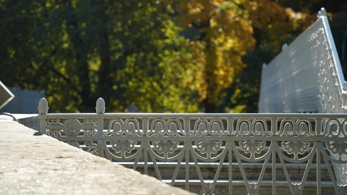 Фото: Павел Борисенко / MR7