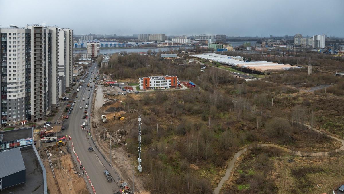 Фото: предоставлено активистами