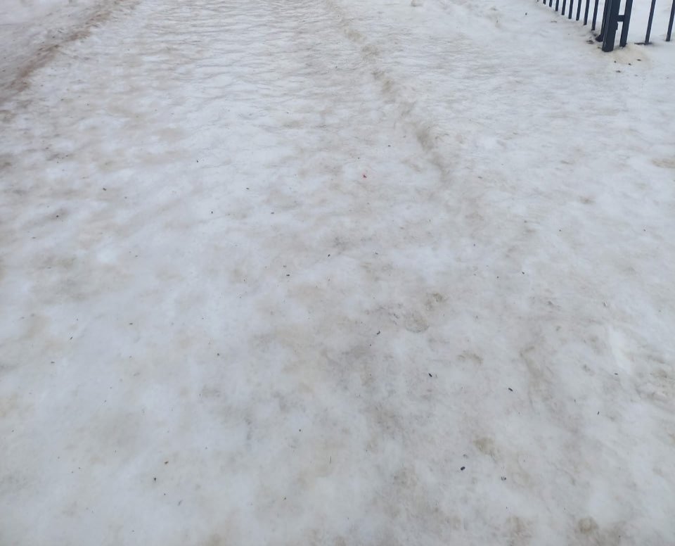 Фото: «Транспортный КОЛЛАПС, Красное Село. Новости и события»