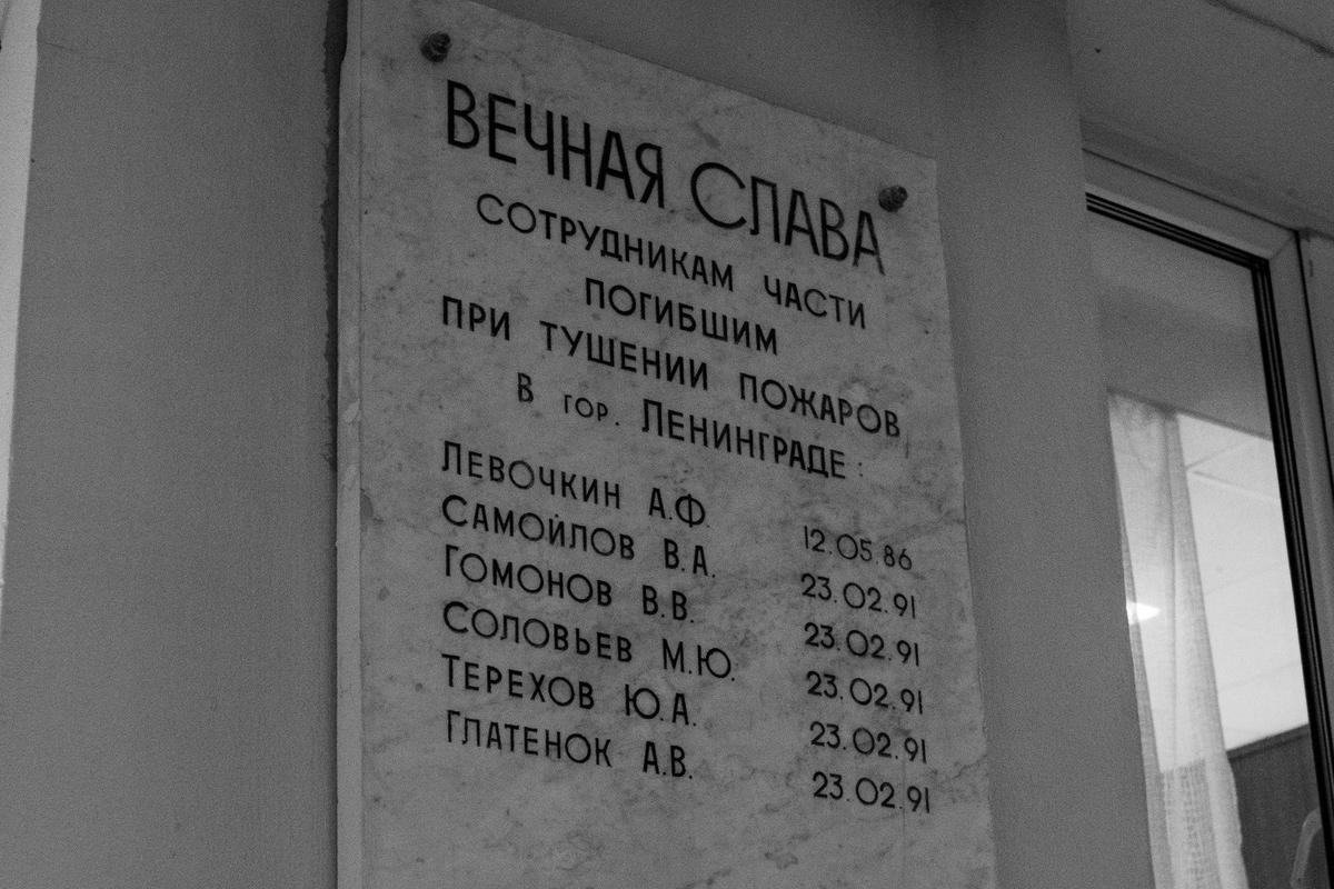 Фото: Евгений Шальнов / MR7