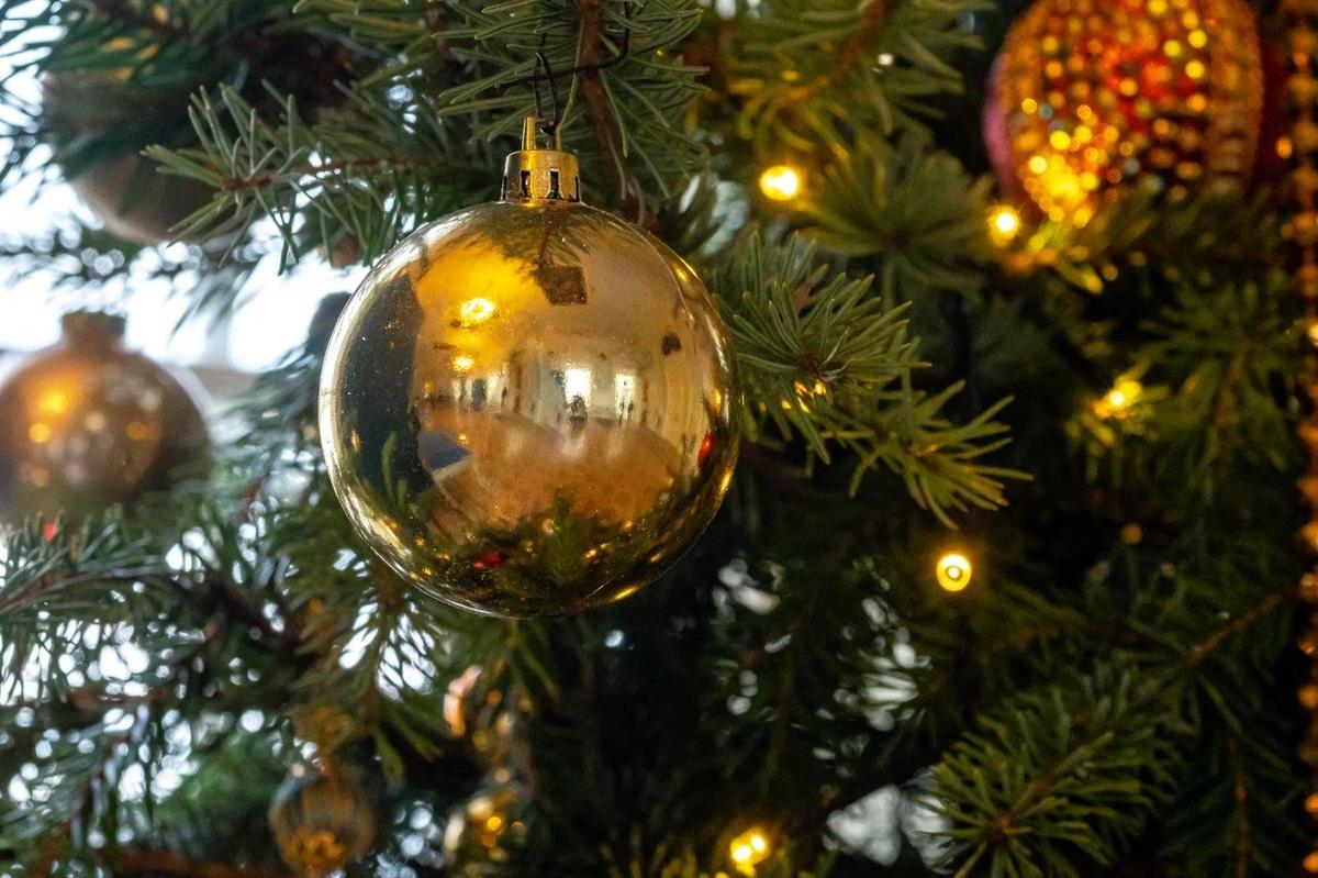 Фото: Олег Золото / MR7