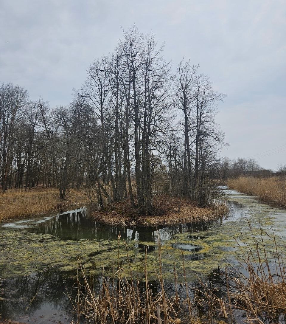 Фото: telegram-канал Владимира Цоя