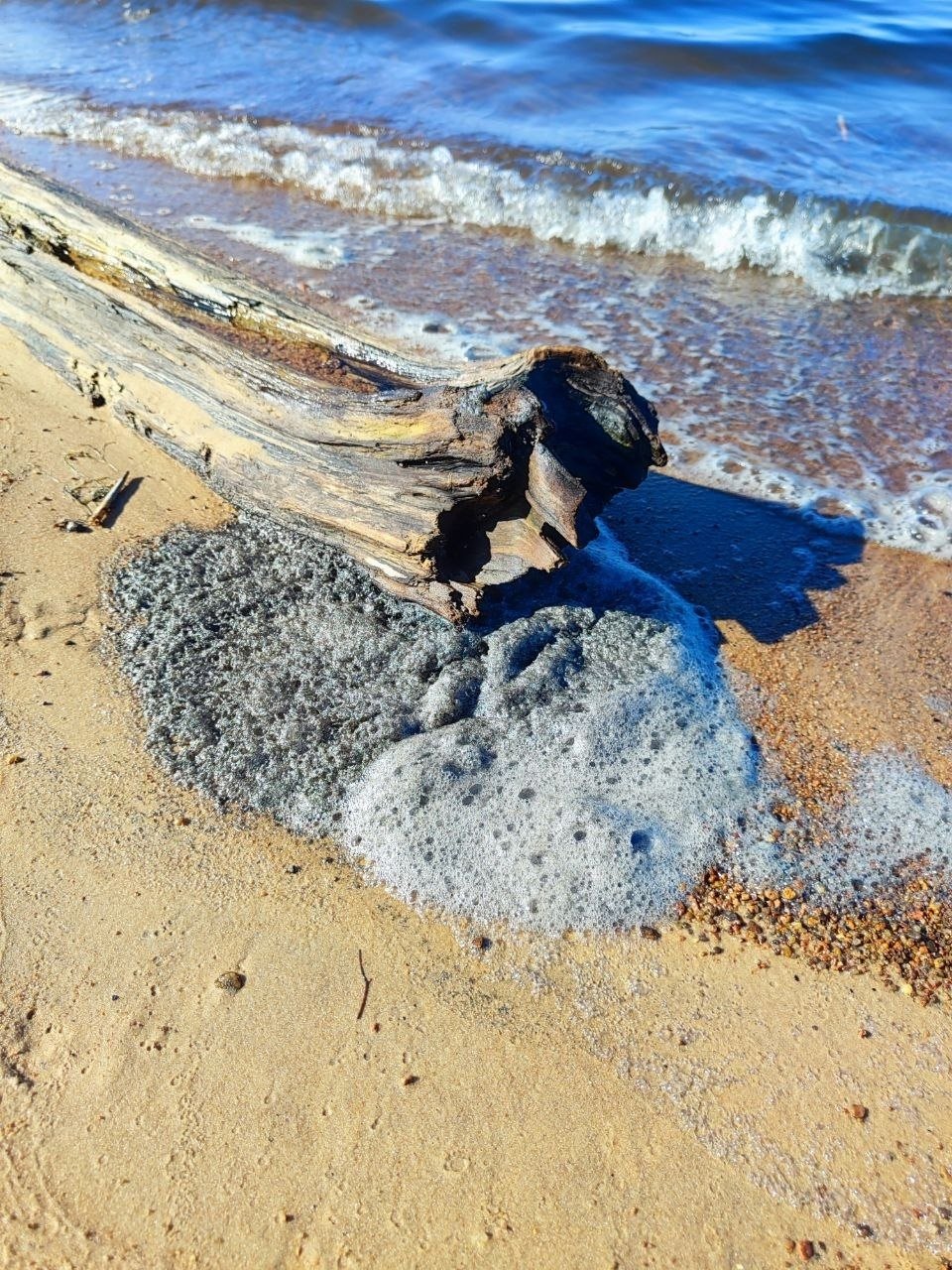 Фото: BL Сосновый Бор