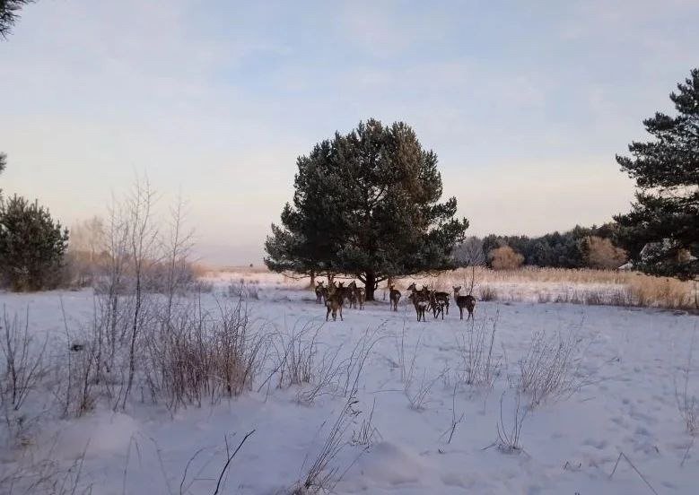 Фото: администрация Ленобласти
