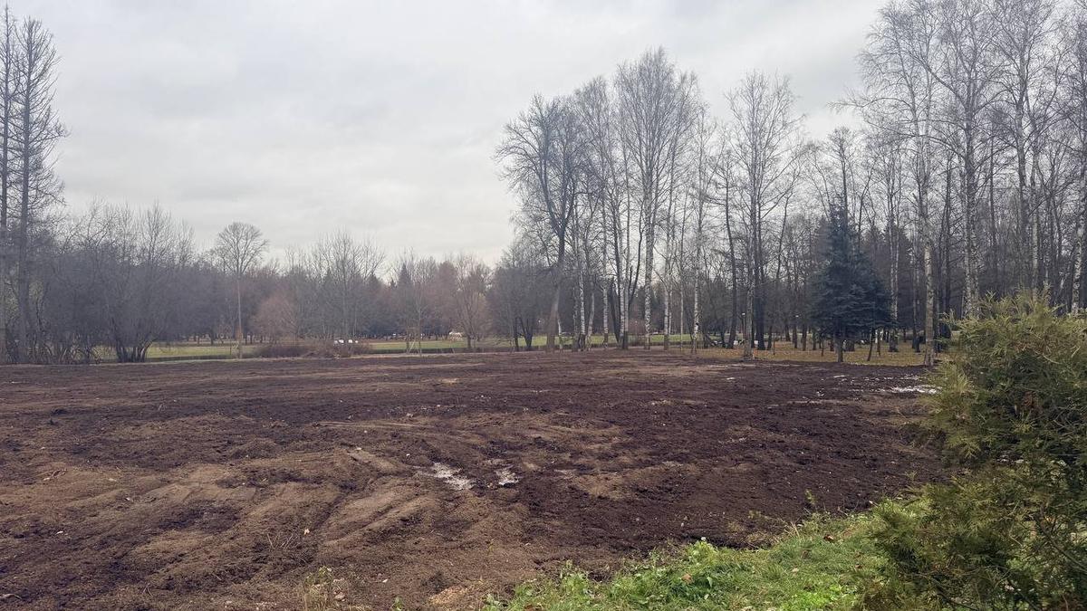 Фото: комитет по контролю за имуществом Петербурга