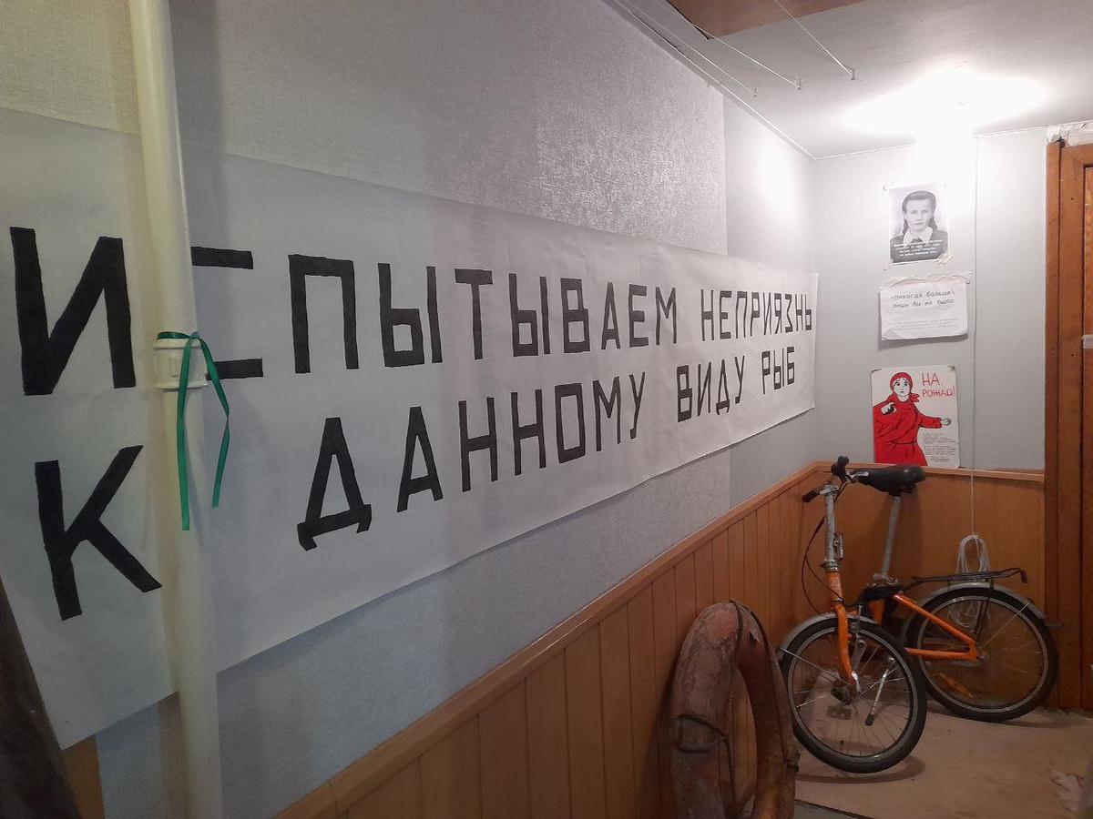 Фото: Анна Мотовилова / MR7