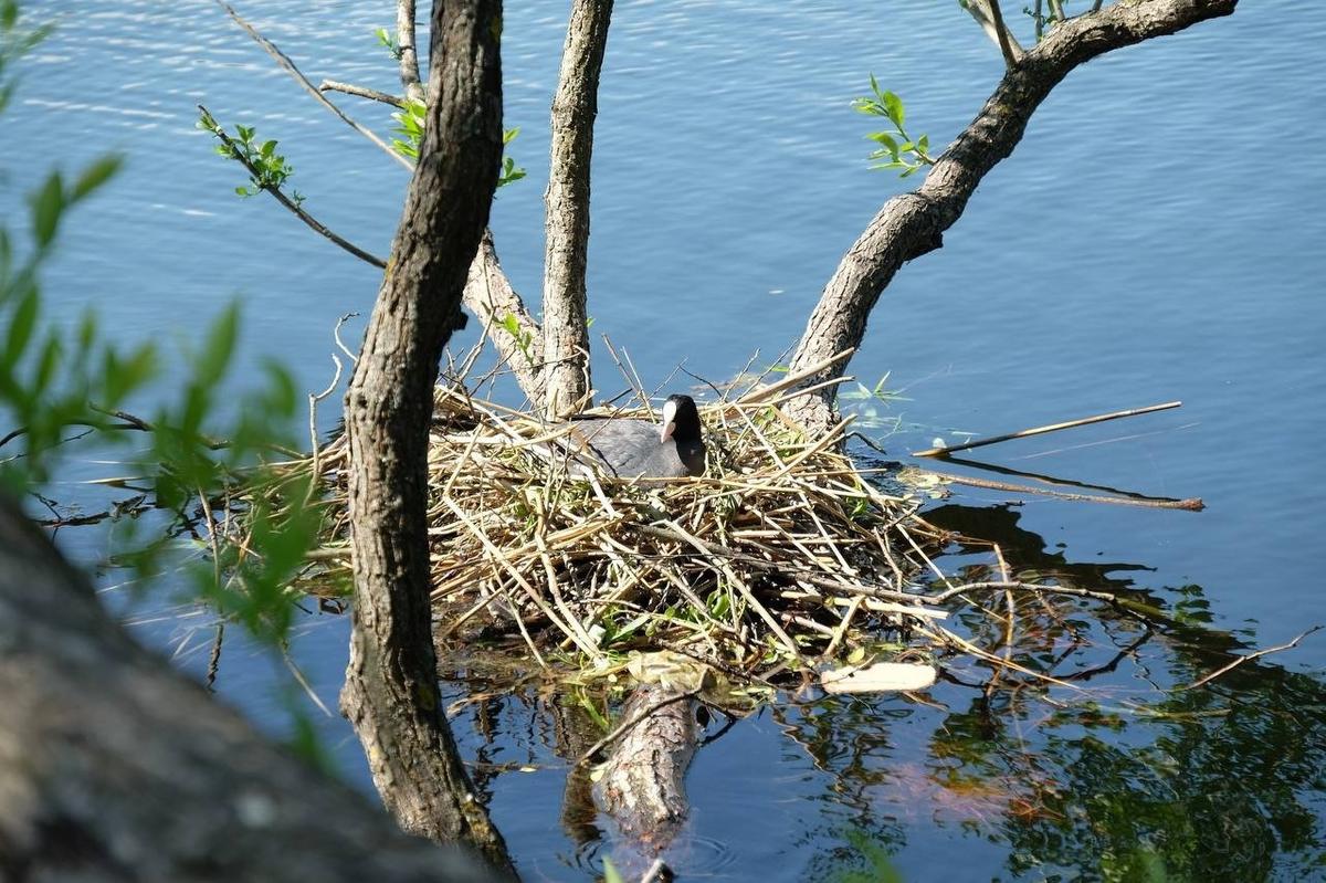 Фото: Михаил Барышников
