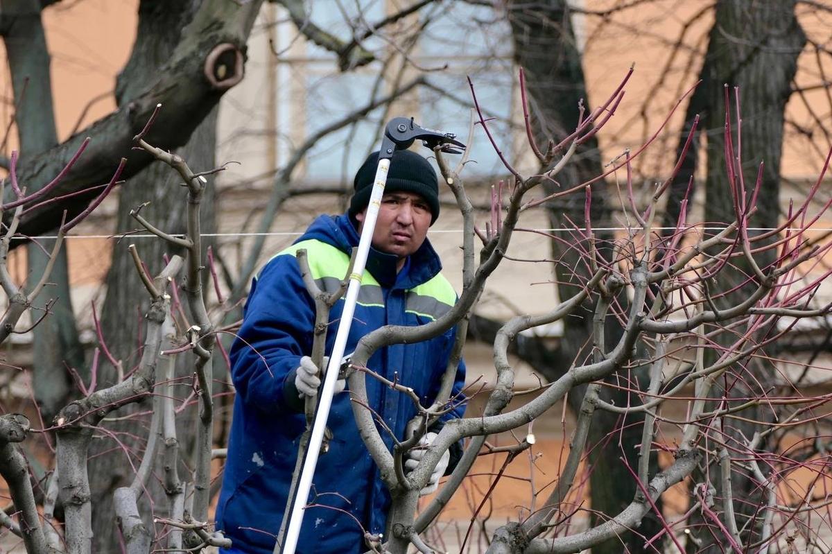 Фото: Павел Даиси / MR7